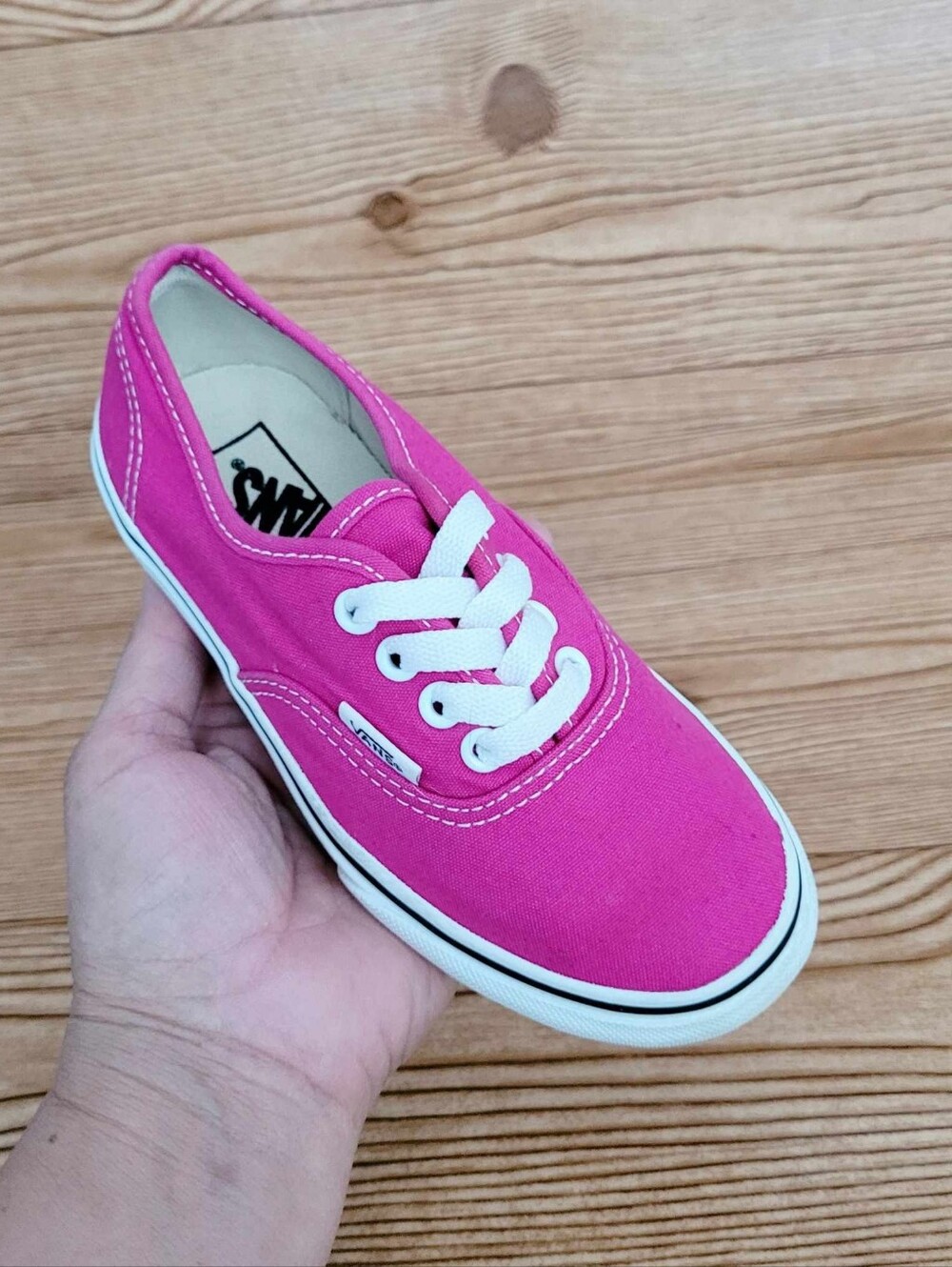 VANS Low Tops Sneakers